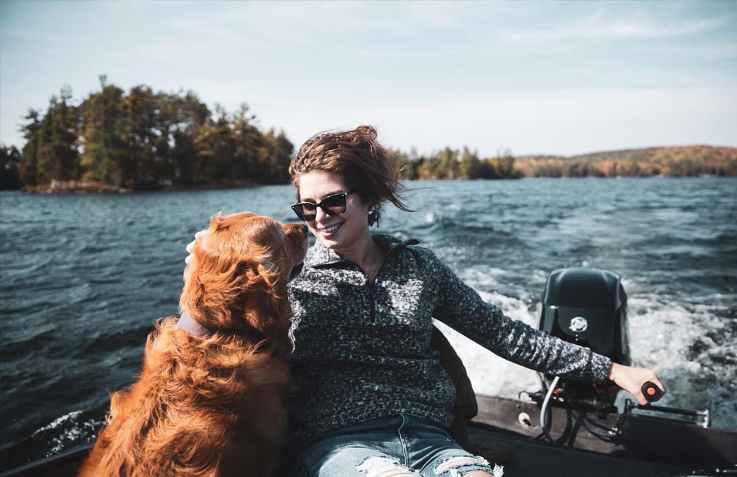 Speedboat with dog